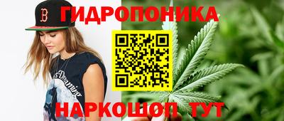 спиды Кинель