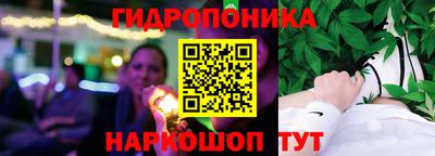 спиды Кинель