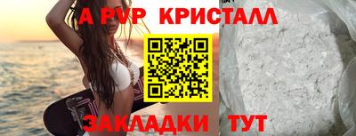 хмурый Кингисепп