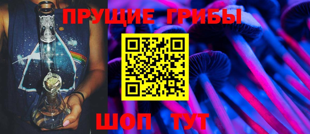 Галлюциногенные грибы прущие грибы  Вход с VPN  Медногорск  Галлюциногенные грибы Psilocybe 