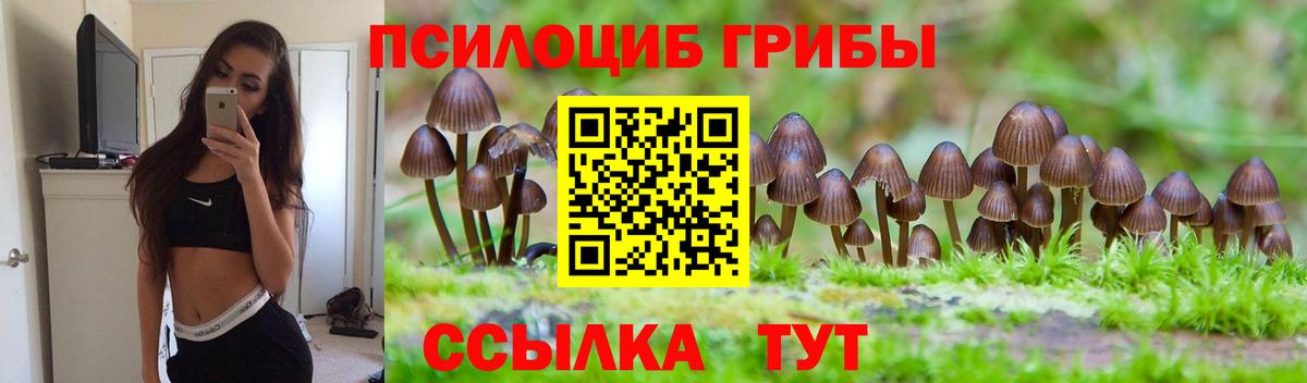 Псилоцибиновые грибы мицелий Медногорск